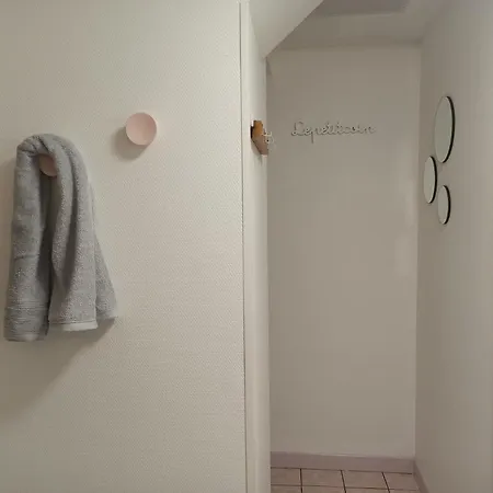 Le Saint-jacques - Hypercentre 公寓 沙泰勒罗