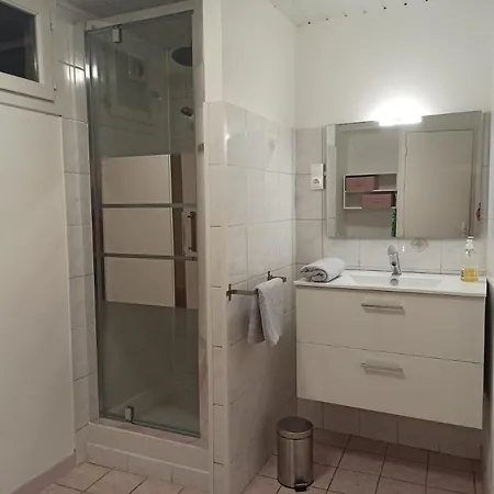 Le Saint-jacques - Hypercentre 沙泰勒罗